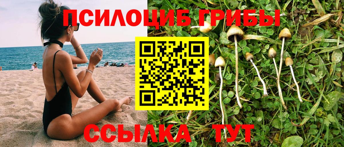 Искитим  Галлюциногенные грибы ЛСД  Псилоцибиновые грибы Cubensis  Вход с VPN 