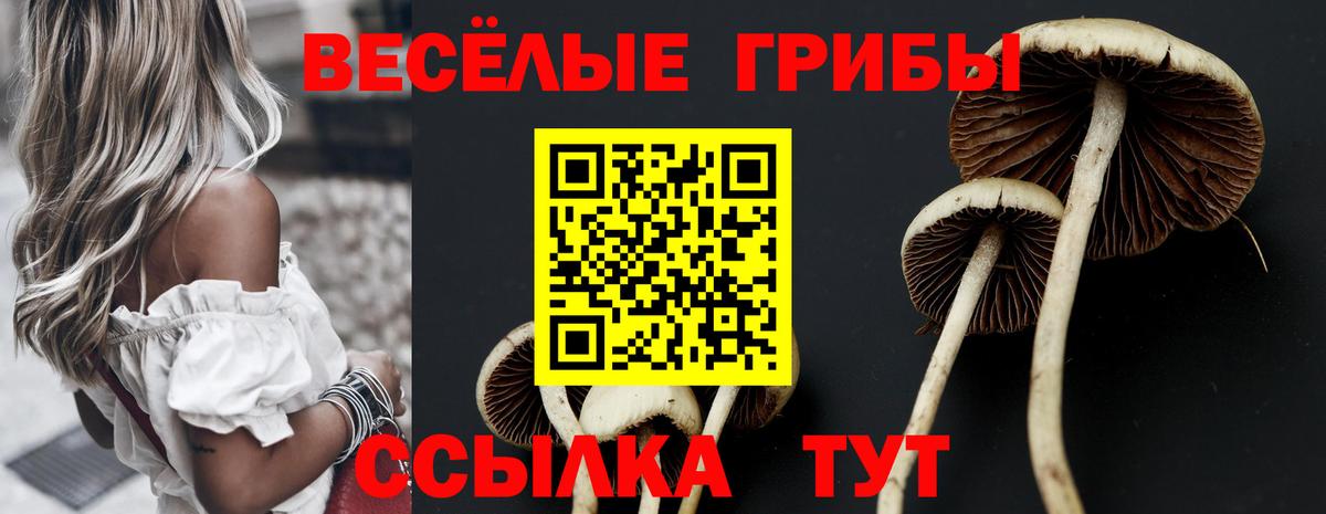 Псилоцибиновые грибы ЛСД Искитим